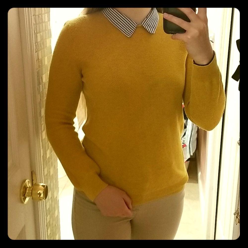Collared sweater